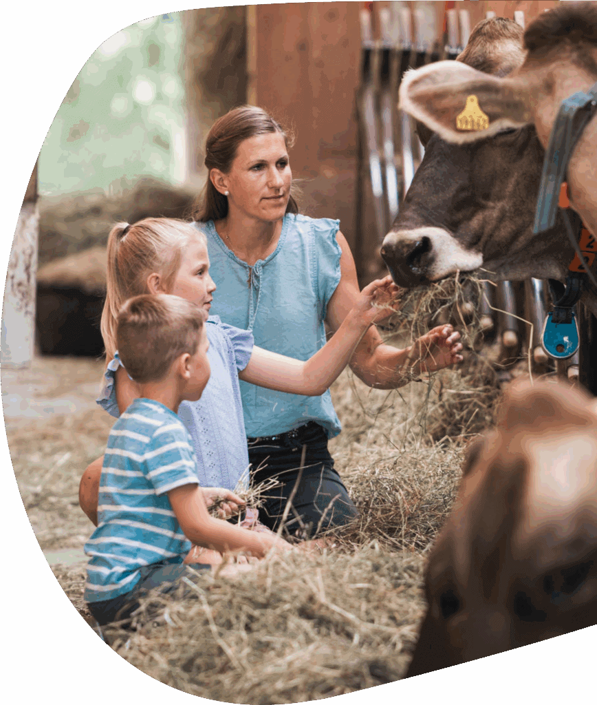 Mama mit zwei Kindern füttert Kühe