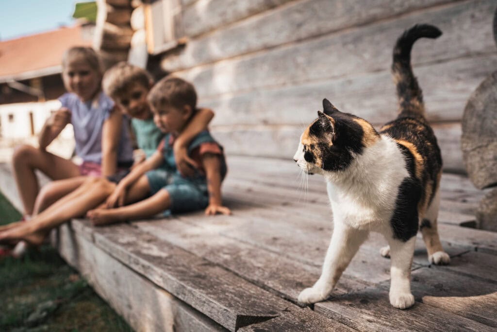 Kinderfreundlicher Urlaub auf dem Bauernhof