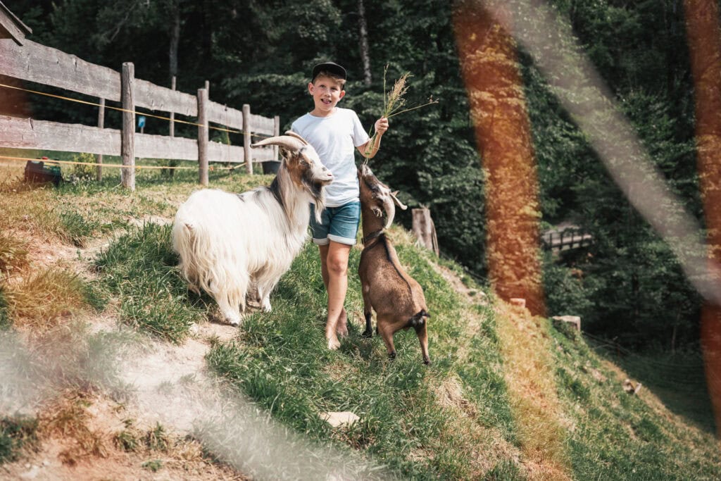 Urlaub auf dem Bauernhof im Allgäu