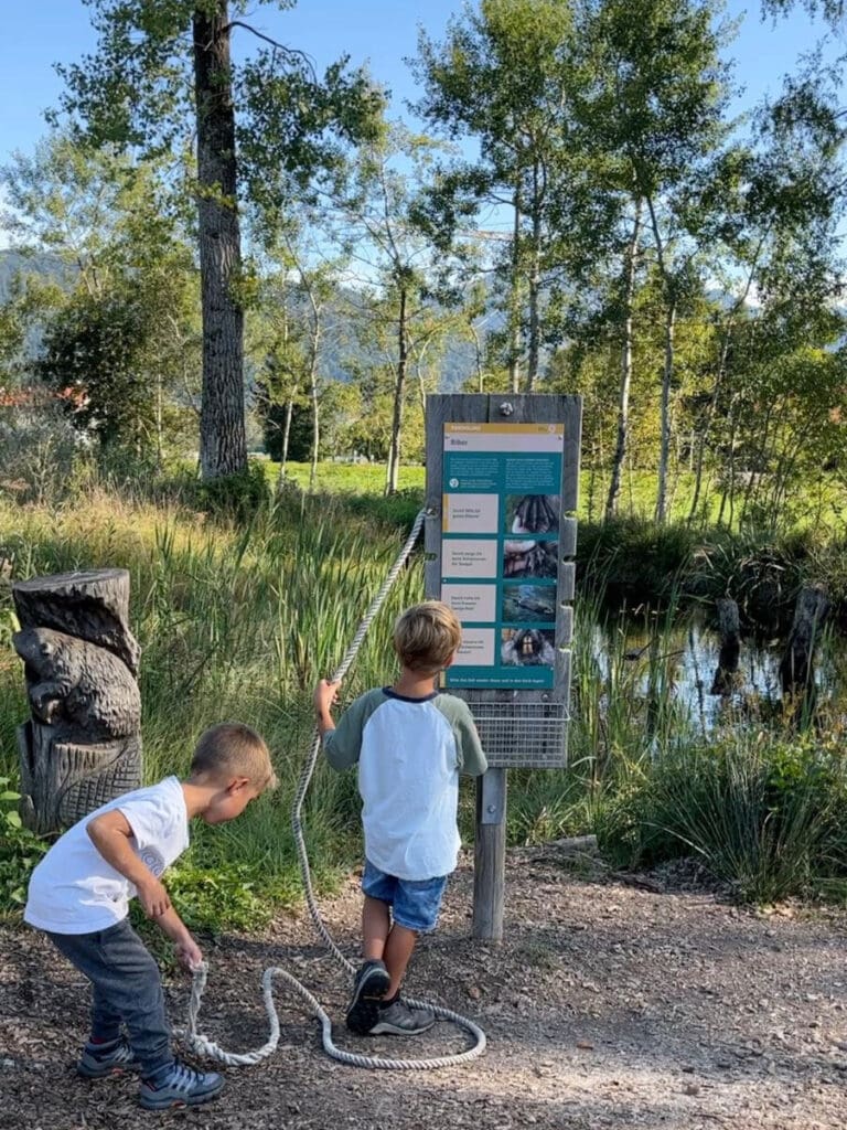 Kinder stehen an einer Erlebnisstation in einem Moor und rätseln
